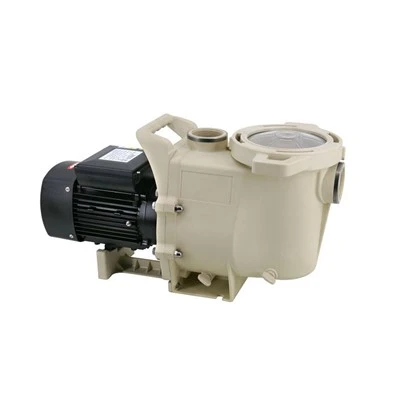 Swimbad Pump